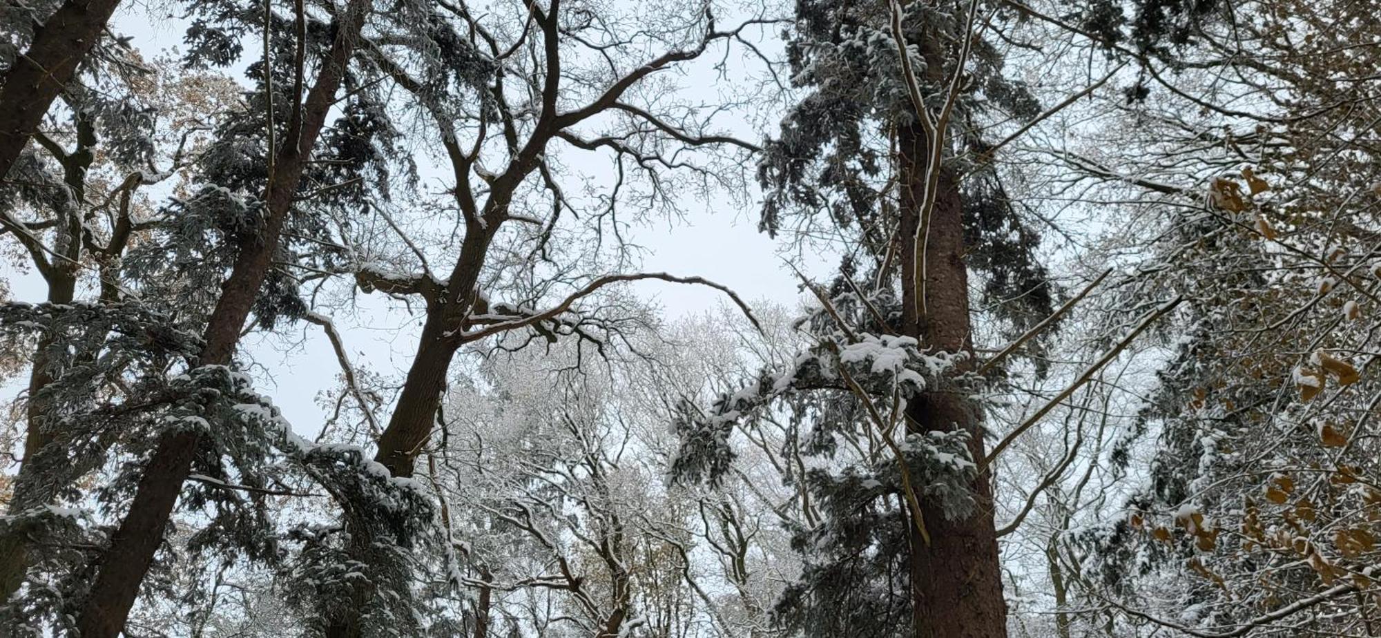 Haus Theda Βίλα Fockbek Εξωτερικό φωτογραφία